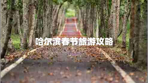 哈爾濱春節(jié)旅游攻略