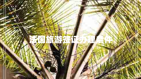 法國旅游簽證辦理?xiàng)l件