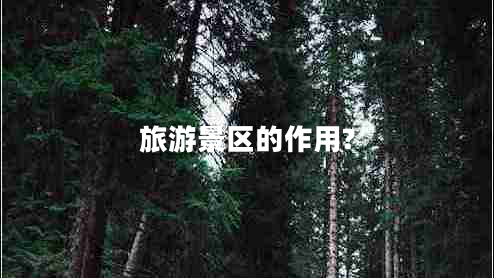 旅游景區(qū)的作用?