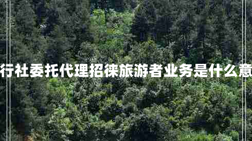 旅行社委托代理招徠旅游者業(yè)務是什么意思