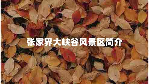 張家界大峽谷風(fēng)景區(qū)簡(jiǎn)介