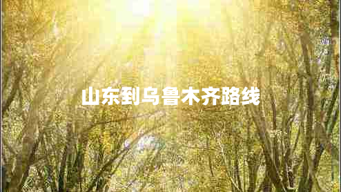 山東到烏魯木齊路線