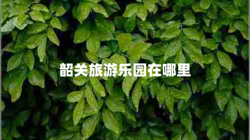 韶關(guān)旅游樂園在哪里