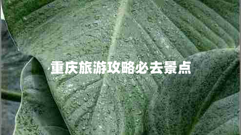 重慶旅游攻略必去景點