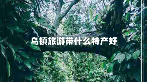 烏鎮(zhèn)旅游帶什么特產好