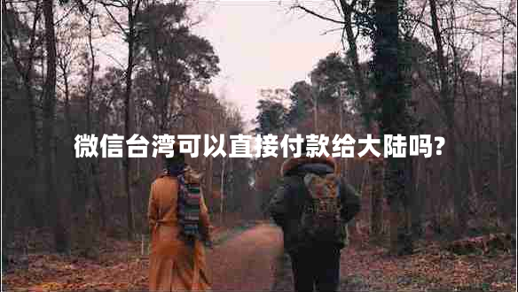 微信臺(tái)灣可以直接付款給大陸嗎?