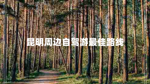 昆明周邊自駕游最佳路線