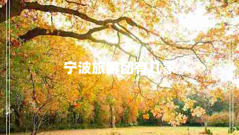 寧波旅游團(tuán)有幾家