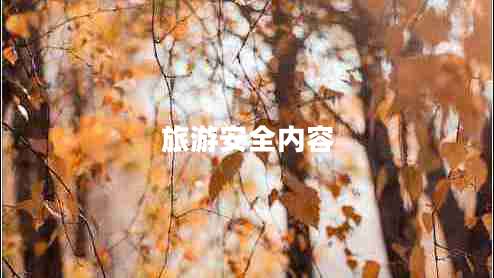 旅游安全內(nèi)容