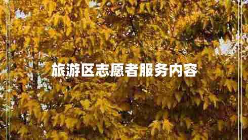 旅游區(qū)志愿者服務內容
