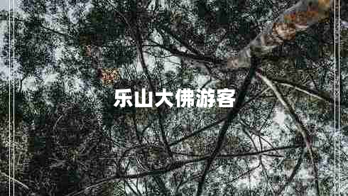 樂(lè)山大佛游客