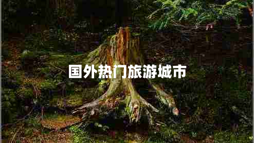 國(guó)外熱門旅游城市