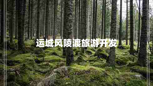 運城風陵渡旅游開發(fā)