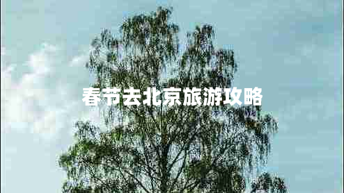 春節(jié)去北京旅游攻略