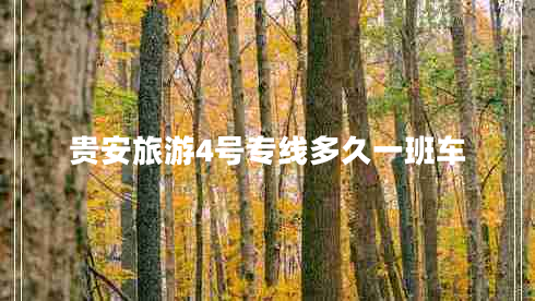 貴安旅游4號專線多久一班車