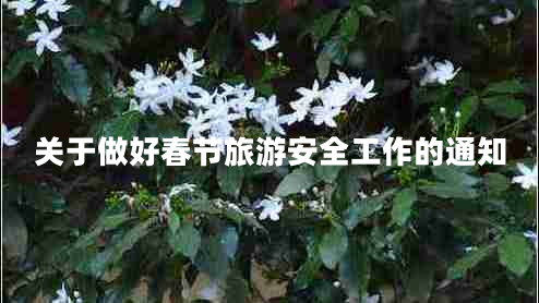 關于做好春節(jié)旅游安全工作的通知