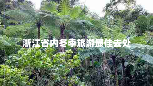浙江省內(nèi)冬季旅游最佳去處