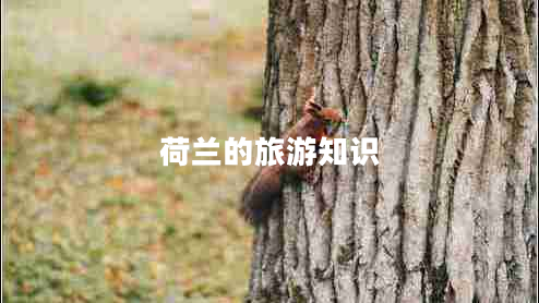 荷蘭的旅游知識(shí)