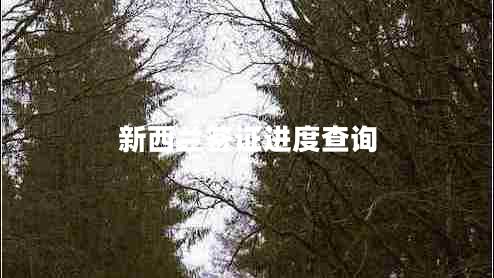 新西蘭簽證進度查詢
