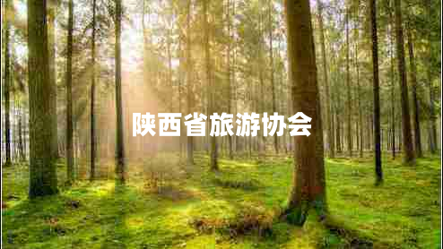 陜西省旅游協(xié)會(huì)