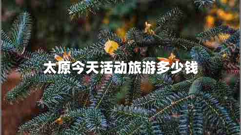太原今天活動旅游多少錢