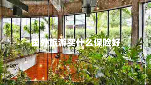 國外旅游買什么保險(xiǎn)好
