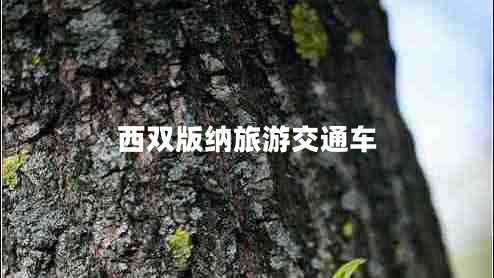西雙版納旅游交通車