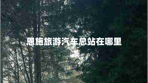 恩施旅游汽車總站在哪里