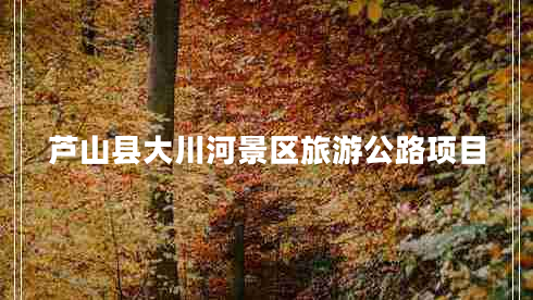 蘆山縣大川河景區(qū)旅游公路項(xiàng)目