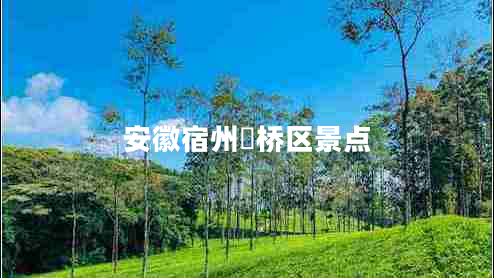 安徽宿州埇橋區(qū)景點(diǎn)