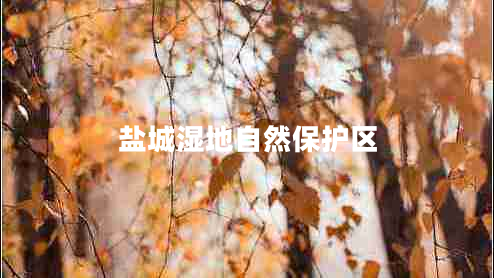 鹽城濕地自然保護(hù)區(qū)