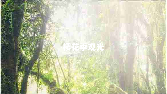 櫻花季觀光