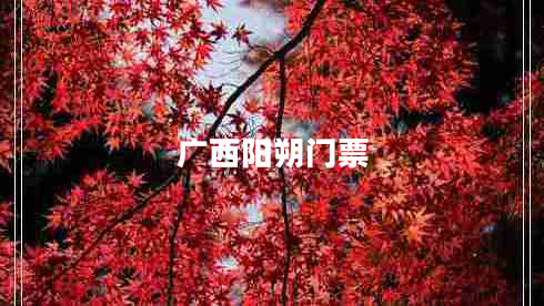 廣西陽(yáng)朔門票