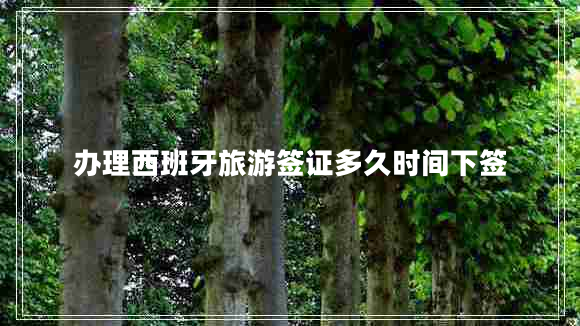 辦理西班牙旅游簽證多久時間下簽
