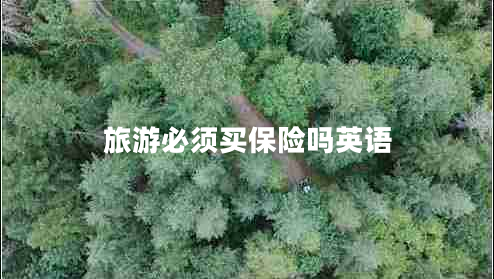 旅游必須買保險嗎英語