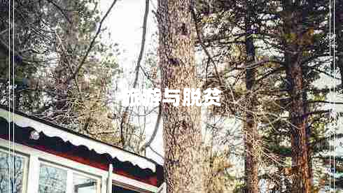 旅游與脫貧