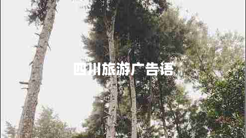 四川旅游廣告語