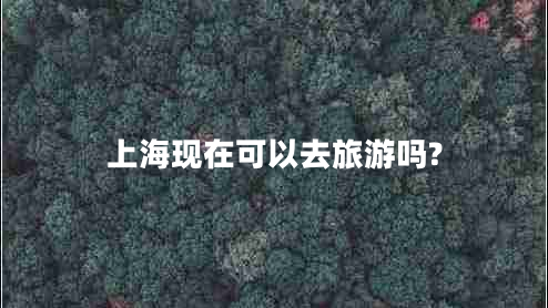 上?，F(xiàn)在可以去旅游嗎?