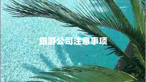 旅游公司注意事項(xiàng)