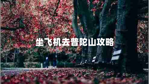 坐飛機(jī)去普陀山攻略