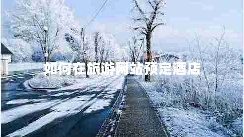 如何在旅游網(wǎng)站預(yù)定酒店