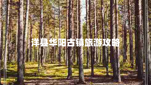 洋縣華陽(yáng)古鎮(zhèn)旅游攻略