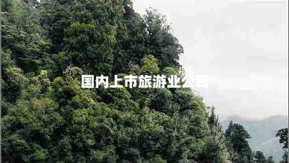 國(guó)內(nèi)上市旅游業(yè)公司