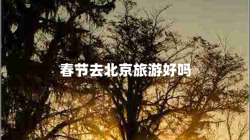 春節(jié)去北京旅游好嗎