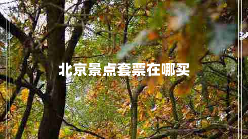 北京景點套票在哪買