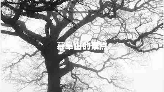 幕阜山的景點