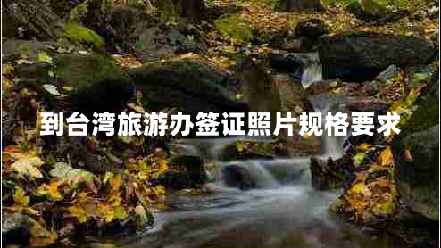 到臺灣旅游辦簽證照片規(guī)格要求