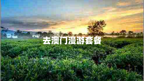 去澳門漫游套餐
