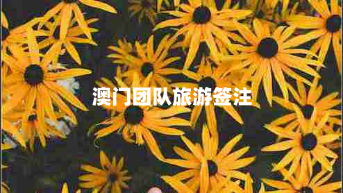 澳門團隊旅游簽注