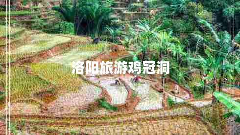 洛陽旅游雞冠洞
